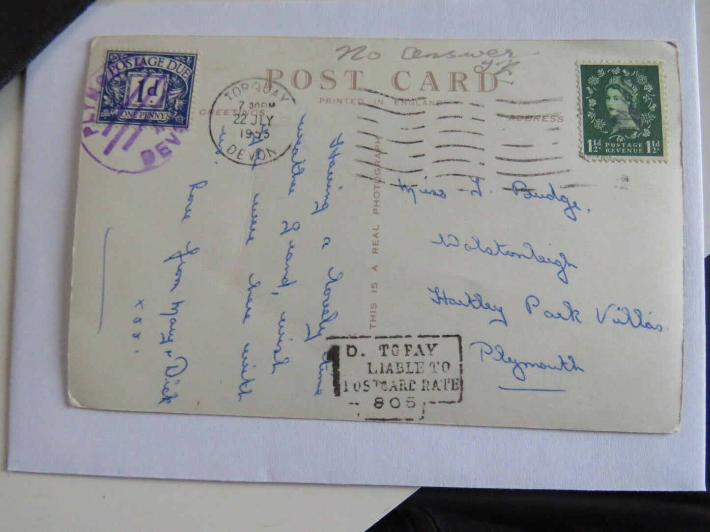 Old Postcard of Lily Pond, Torre Abbey Gardens, Torquay 1955 - Ref : 1030