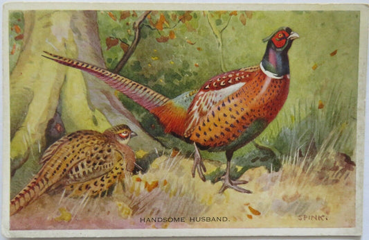 Old Postcard of Handsome Husband, Pheasants - Ref : 1008
