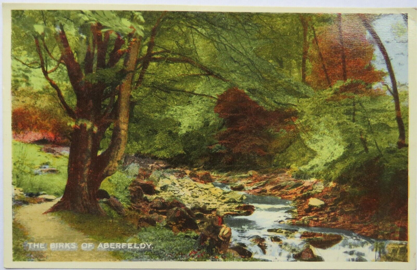 Old Postcard of The Birks of Aberfeldy 1957