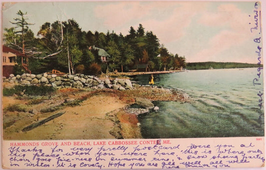 Old Postcard of Hammonds Grove and Beach, Lake Cabbossee Contee- Ref : 1041