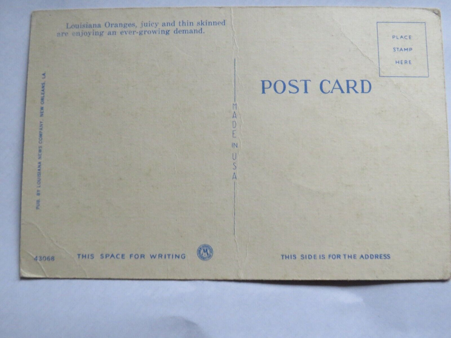 Old Postcard of Picking Oranges In New Orleans, Louisiana - Ref : 1013