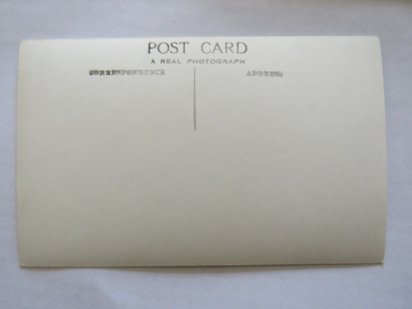 Old Postcard of Razorbills - Ref : 1008