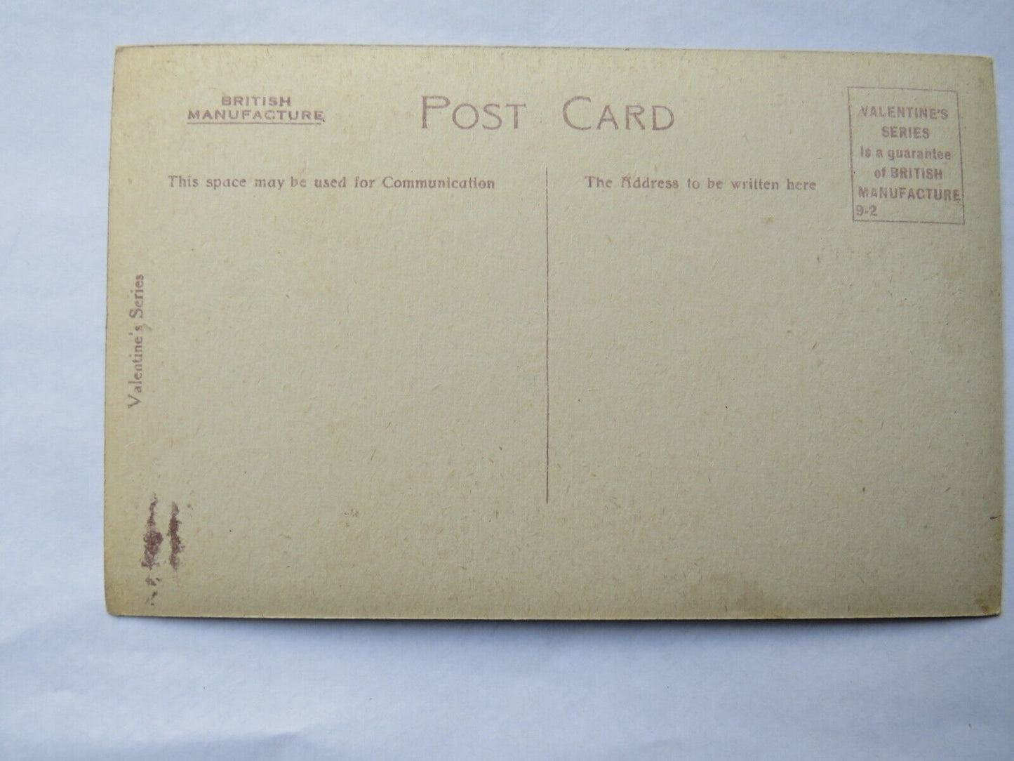 Old Postcard of Solan Geese On The Bass Rock