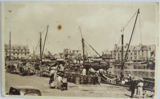 Old Postcard of Landing Catches At Harbour, Peterhead  - Ref : 1022
