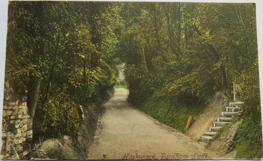 Old Postcard of Haslemere, Farnham Lane, 1907