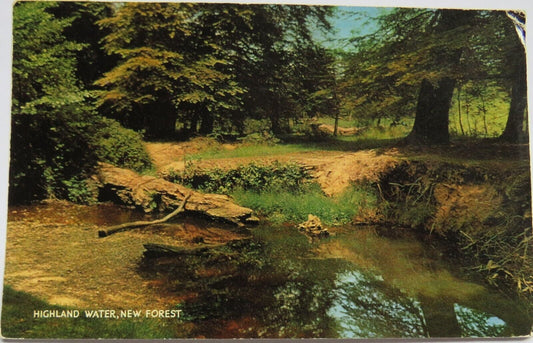Old Postcard of Highland Water, New Forest 1965