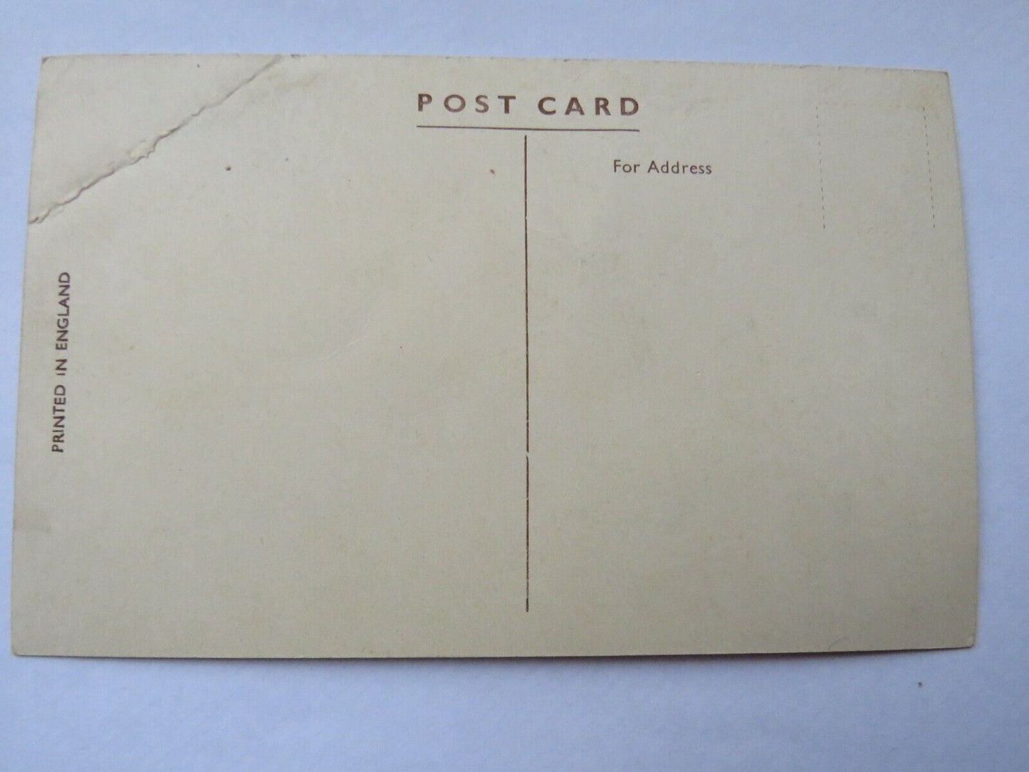 Old Postcard of the Anchor Line T.S.S Caledonia