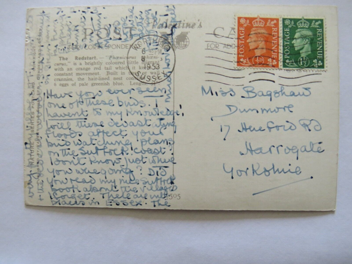 Old Postcard of Redstart by Winifred Austin 1953 - Ref : 1008