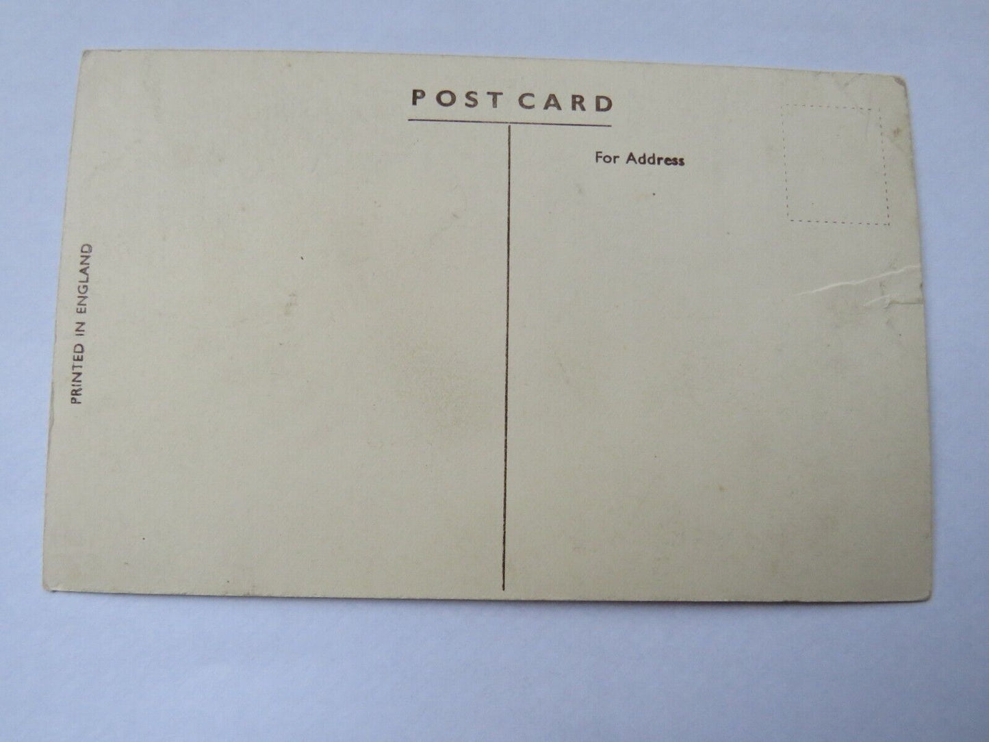 Old Postcard of Anchor Line T.S.S. Cameronia