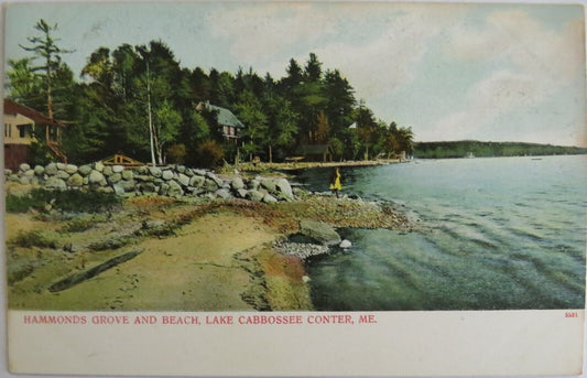 Old Postcard of Hammonds Grove and Beach,  Lake Cabbossee Conter - Ref : 1041