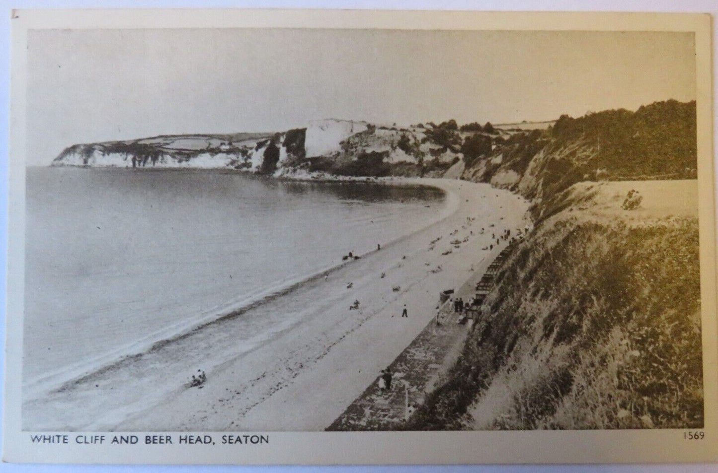 Old Postcard of White Cliff and Beer Head, Seaton, Devon