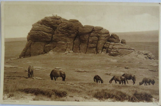 Old Postcard of Dartmoor Haytor - Ref : 1030