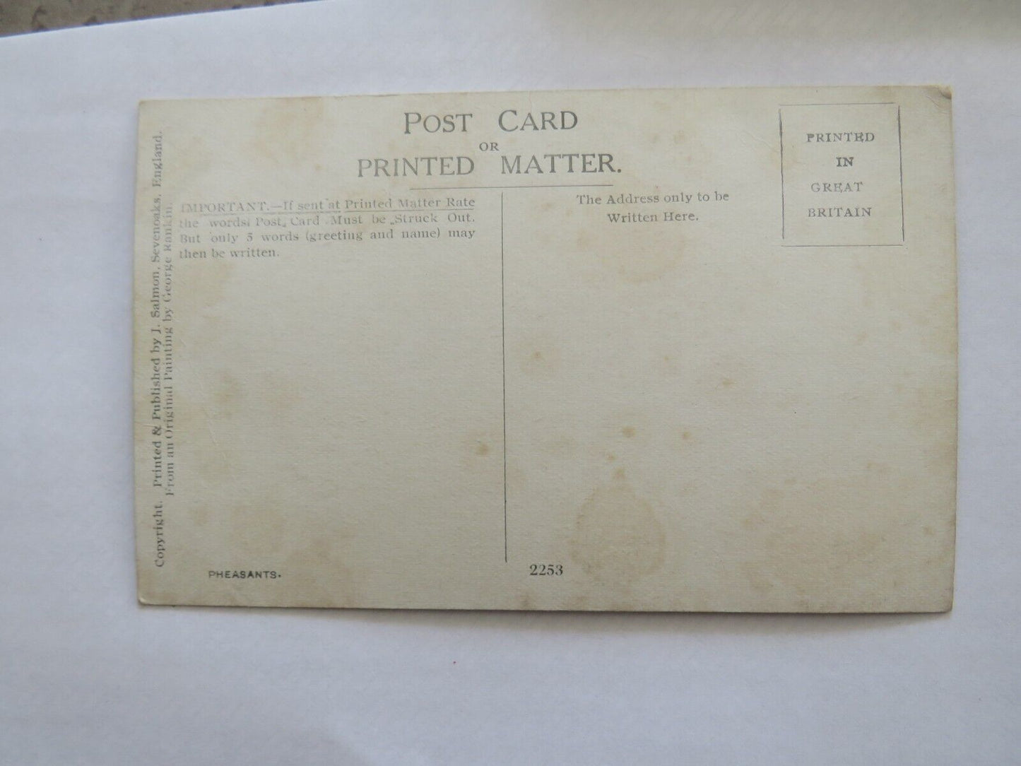 Old Postcard Of Pheasant Birds - From A George Rankin Painting - Ref : 1008