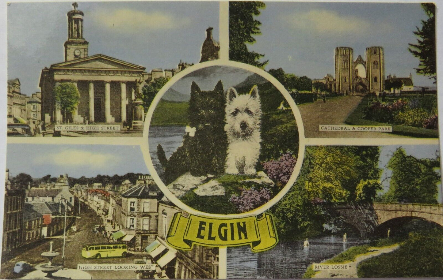 Vintage Multiview Postcard of Elgin 1964
