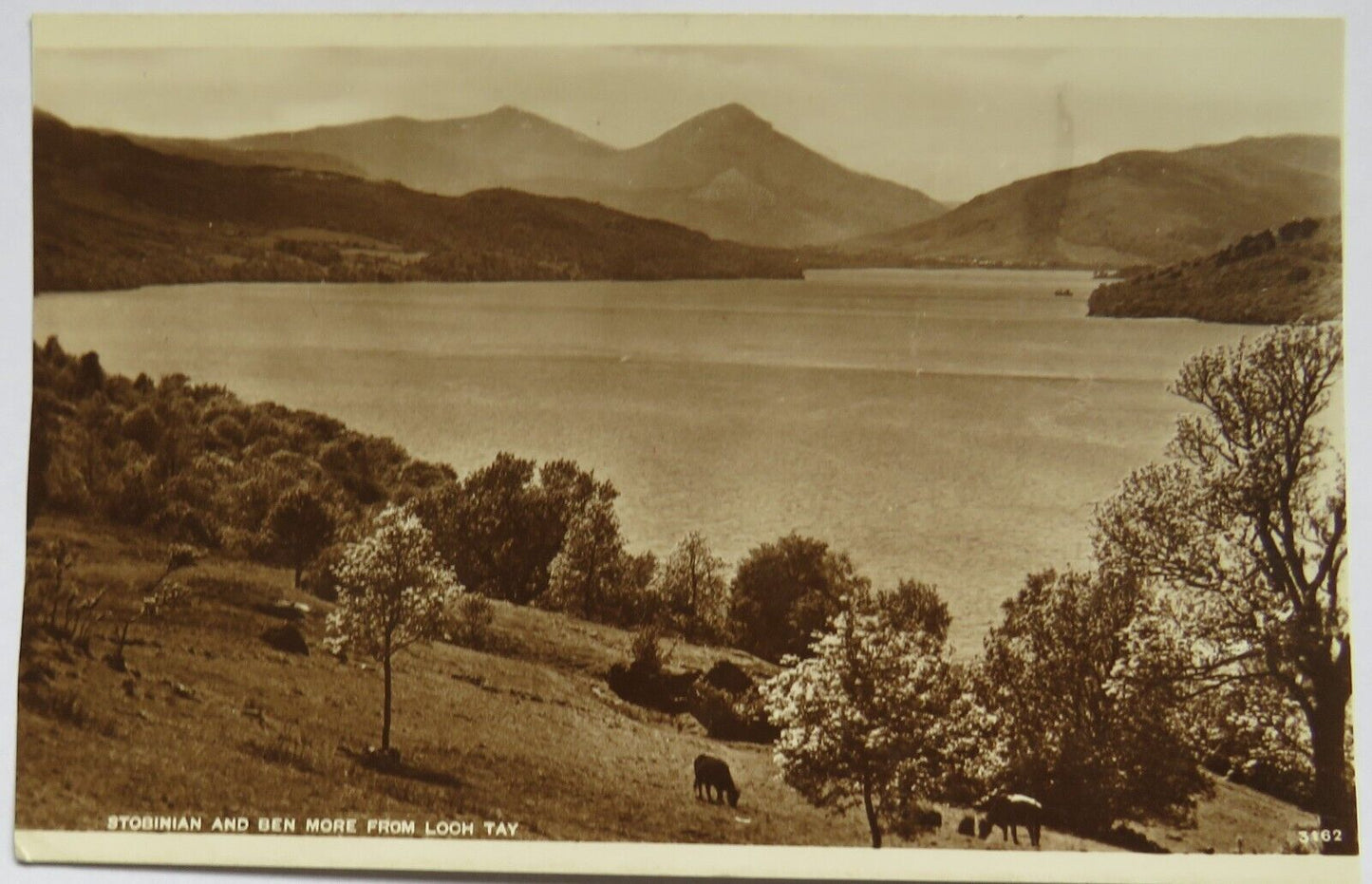 Old Postcard of Stobinian and Ben More From Loch Tay