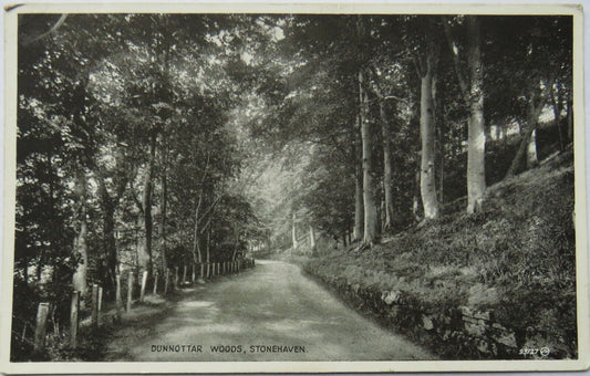Old Postcard of Dunnottar Woods, Stonehaven, 1942