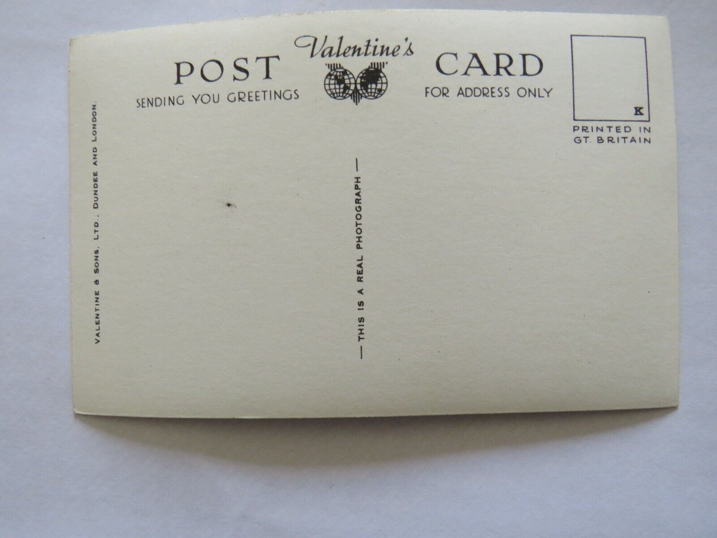 Old Postcard of Bridled Guillemote, Isle of Scilly - Ref : 1008