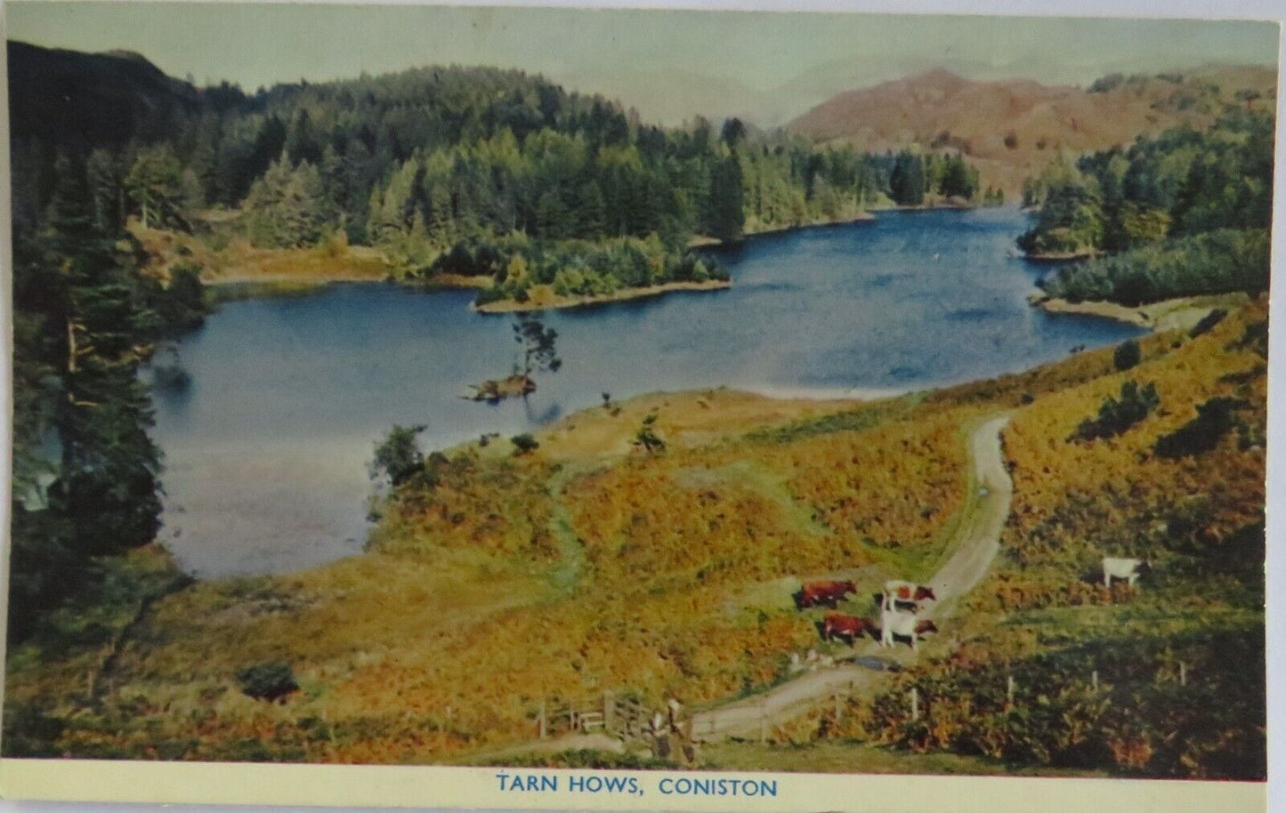 Old Vintage Postcard of Tarn Hows, Coniston - Ref : 1039