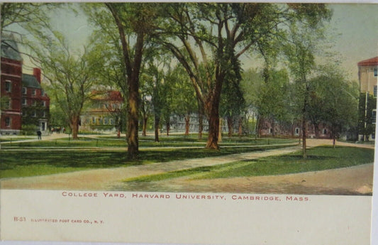 Old Postcard of College Yard, Harvard University, Cambridge Mass - Ref  : 1018
