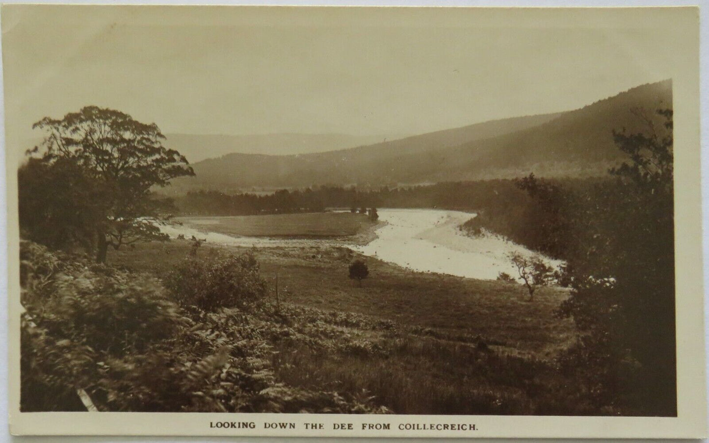 Old Postcard of Looking Down The River Dee From Coillecreich - Ref : 1002