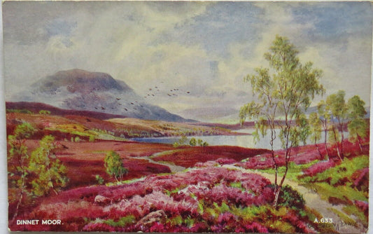 Old Postcard of Dinnet Moor - Ref : 1005