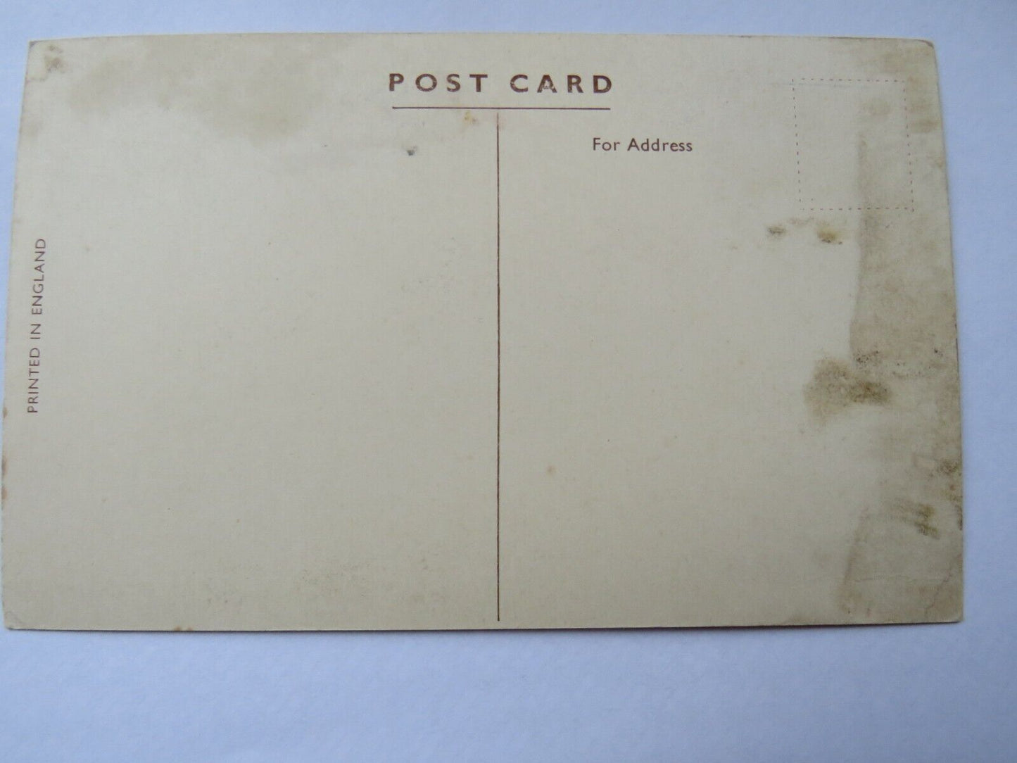 Old Postcard of Anchor Line T.S.S. Caledonia