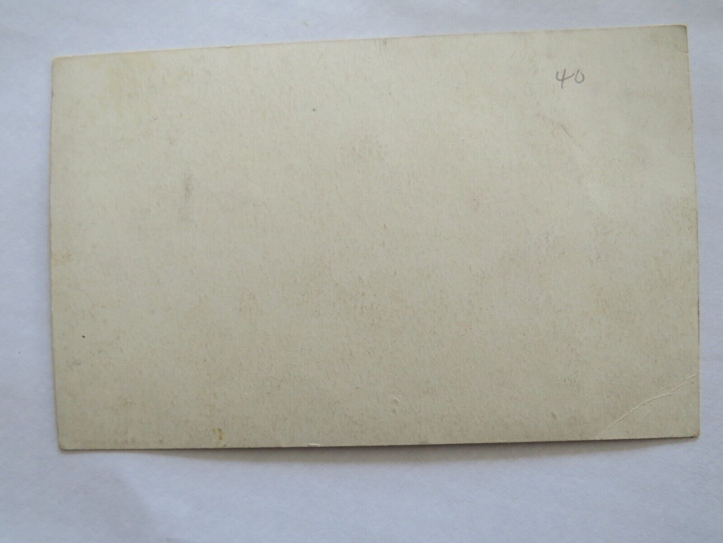 Old Postcard / Card Of Yorkshire Canary and Nest - Ref : 1008