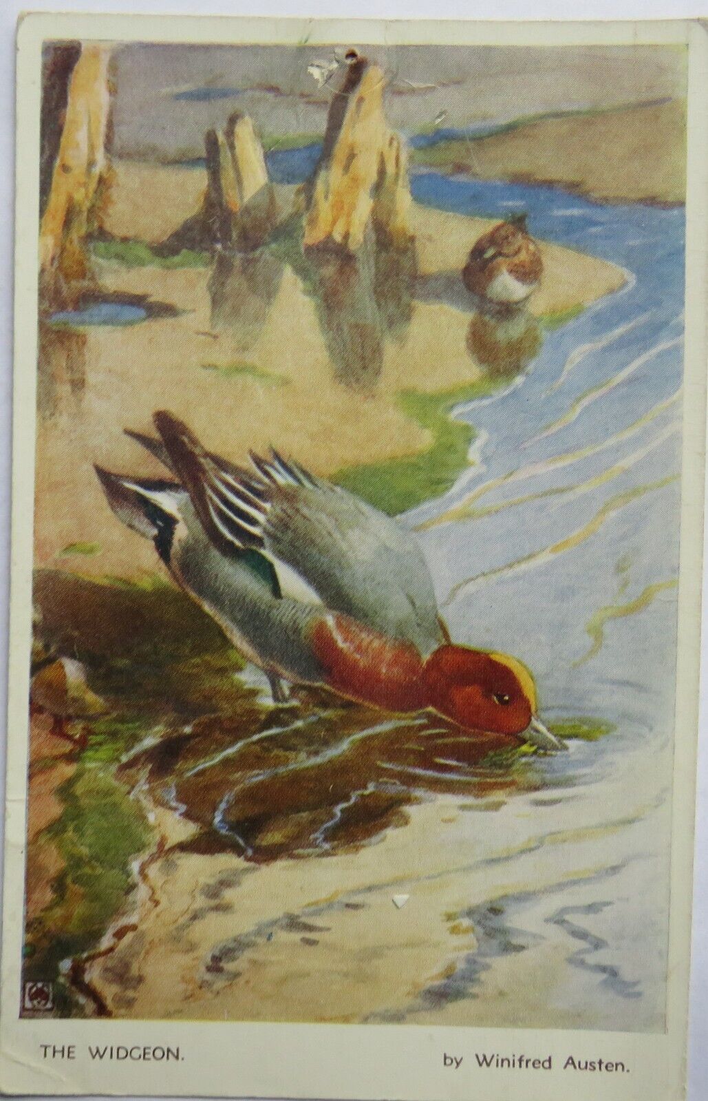 Old Postcard of The Widgeon By Alfred Austen