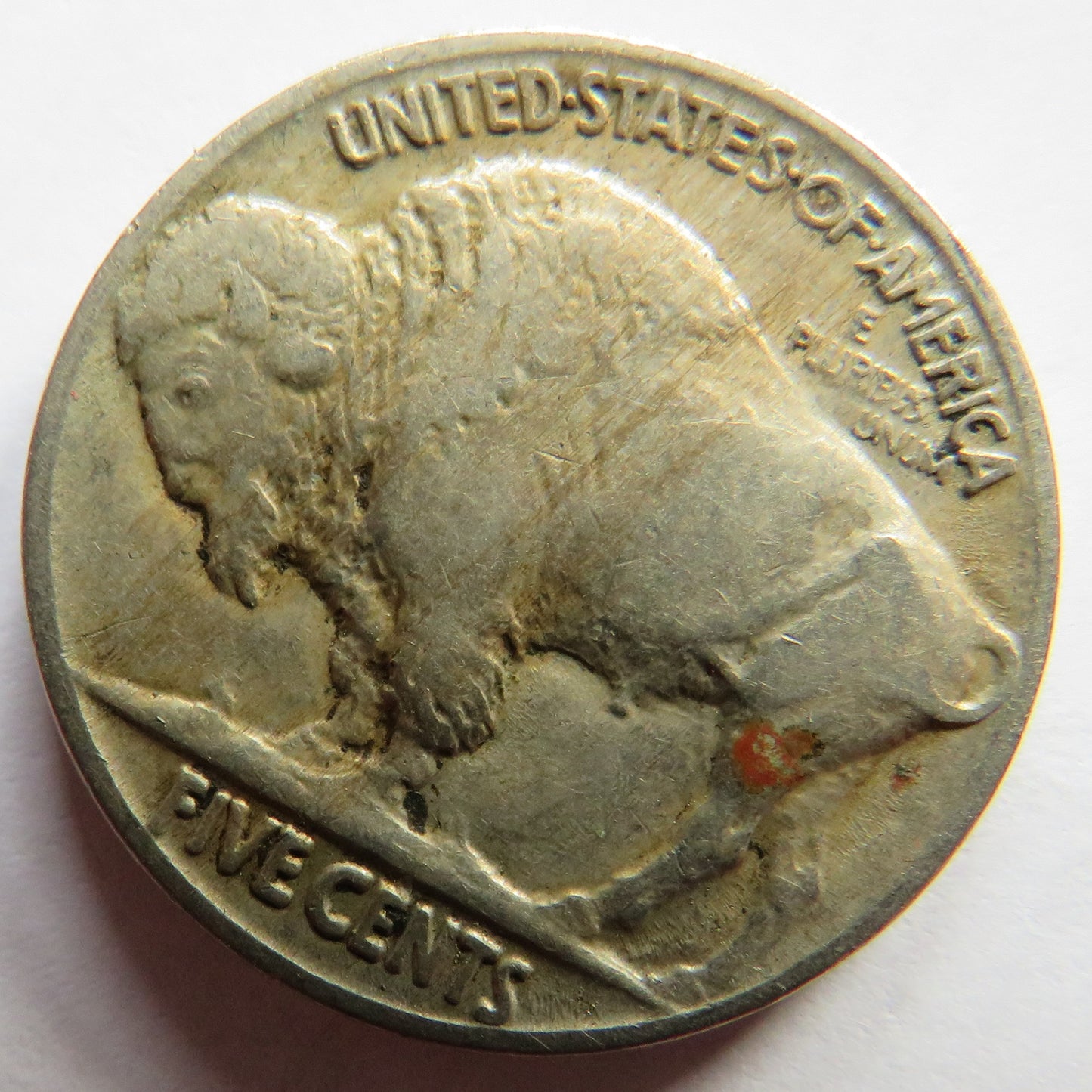 1919 USA Buffalo Nickel Coin