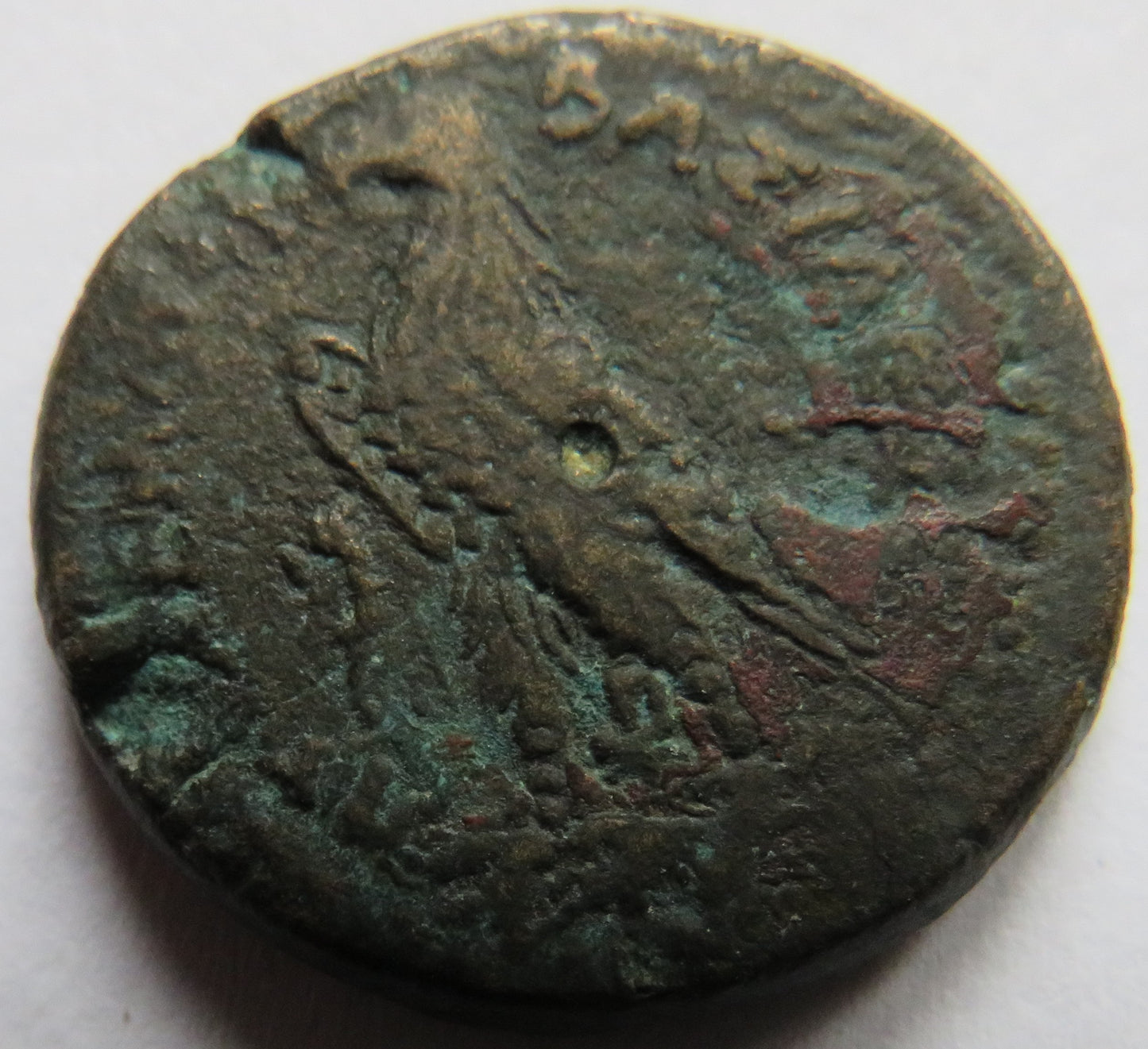 246-222 BC Ptolemy III Euergetes, Ptolemaic Kings of Egypt Ancient Coin