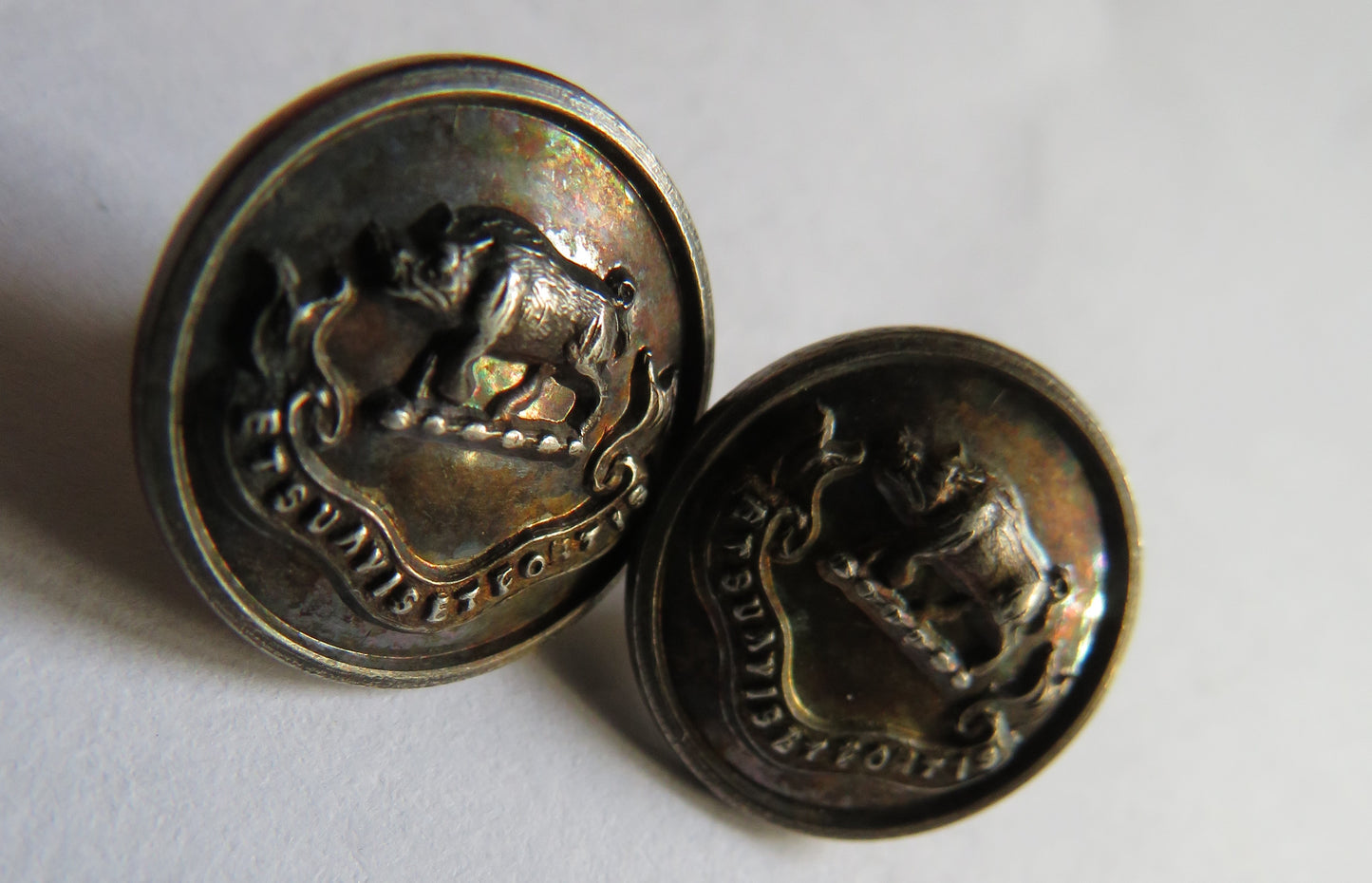 Antique Pair of White Metal Buttons Boar Image Et Suavis Et Fortis