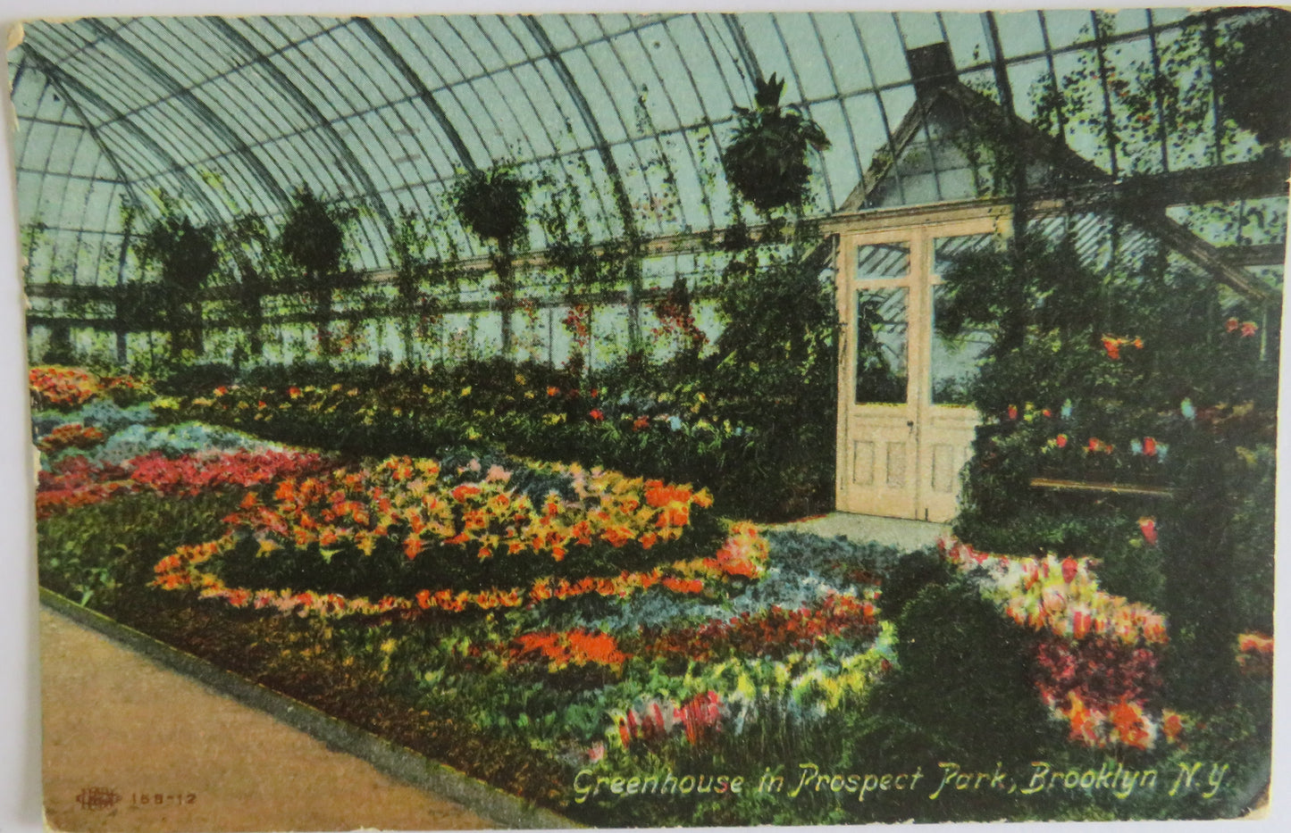 Vintage Postcard of Greenhouse In Prospect Park, Brooklyn N.Y