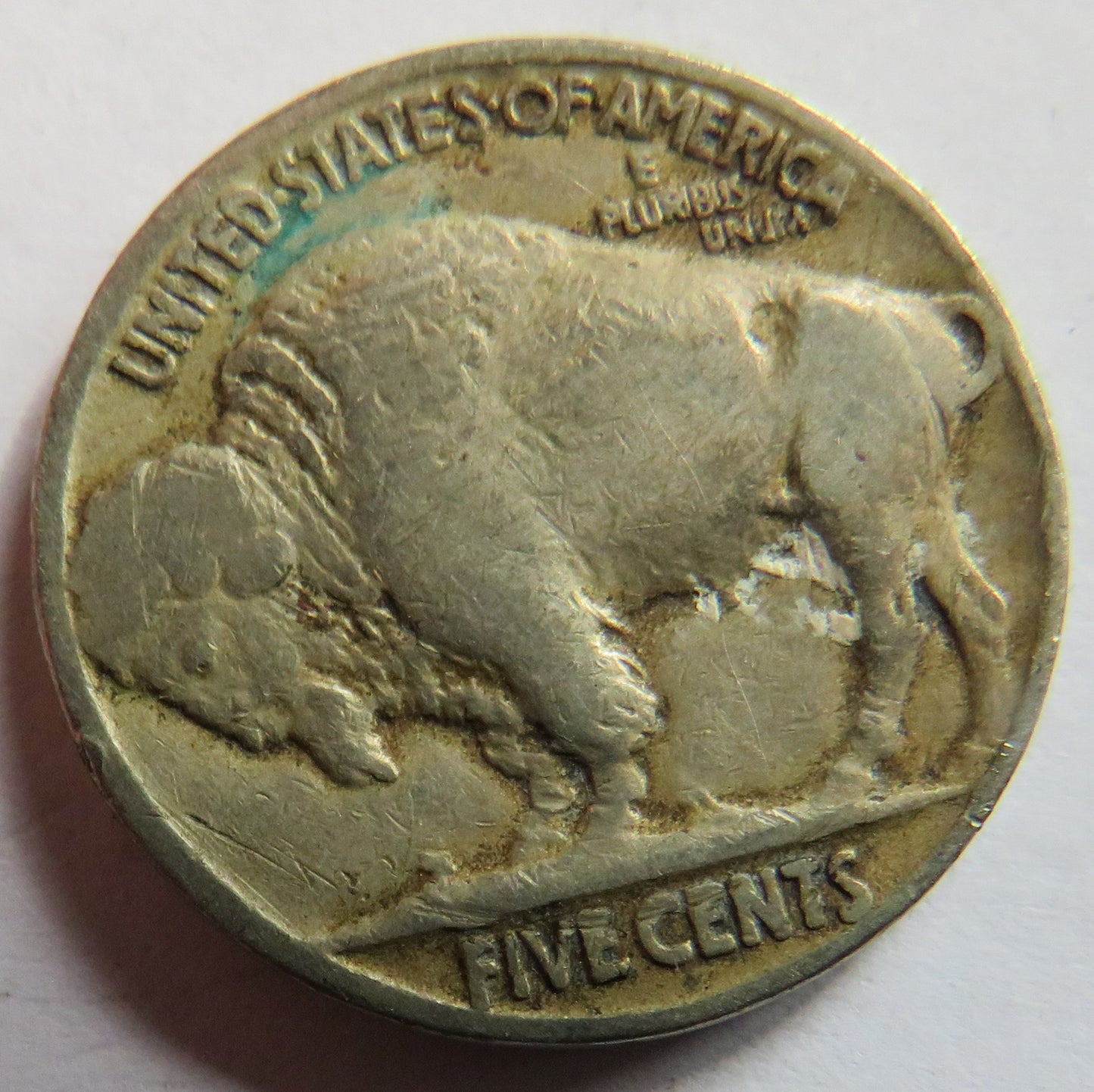 1920 USA Buffalo Nickel Coin