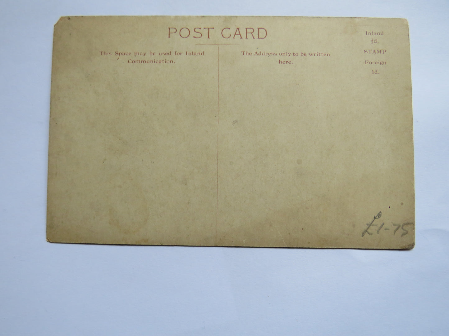 Vintage Postcard of The New Zealand Shipping Company's T.S.S. "Rotorua"