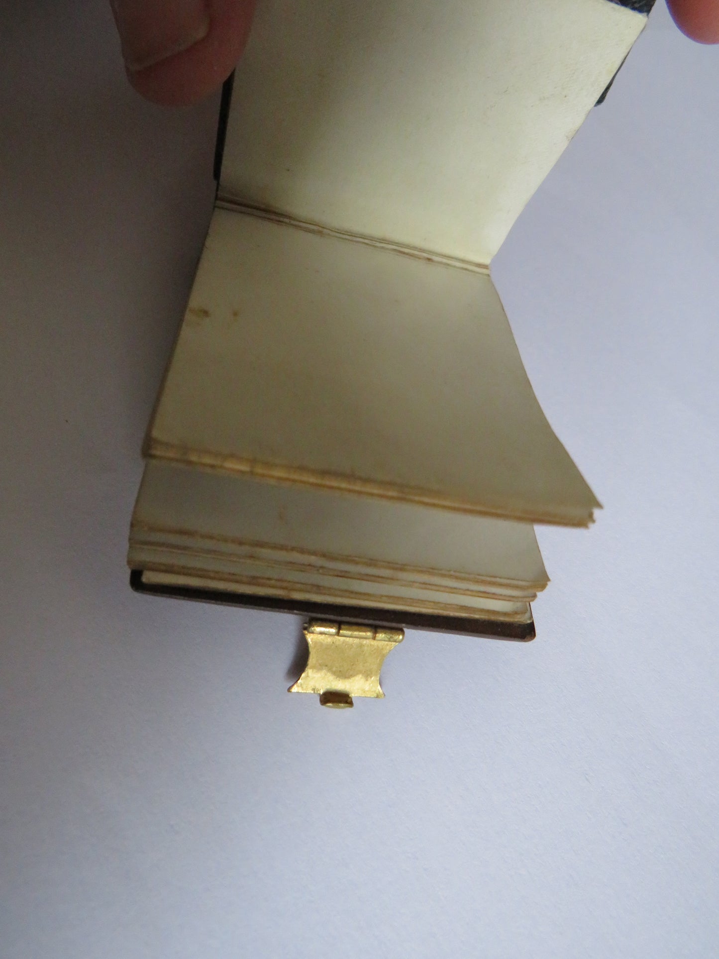 Antique Mauchline Fern Ware Notepad