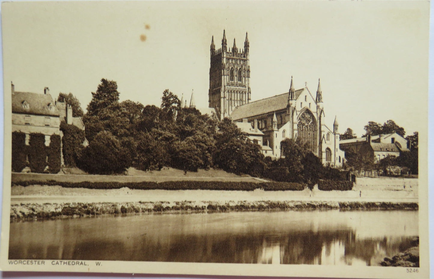 Vintage Postcard of Worcester Cathedral