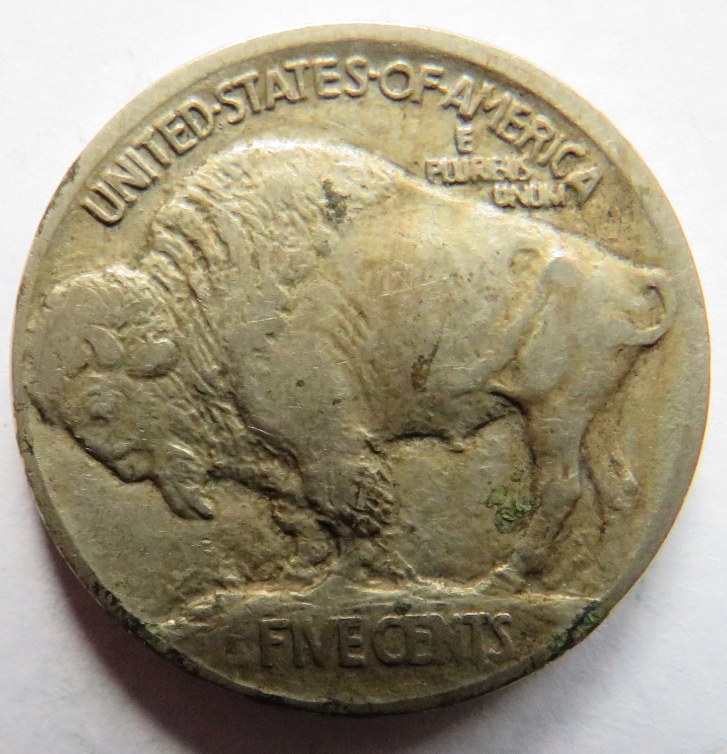 1913 USA Buffalo Nickel Coin