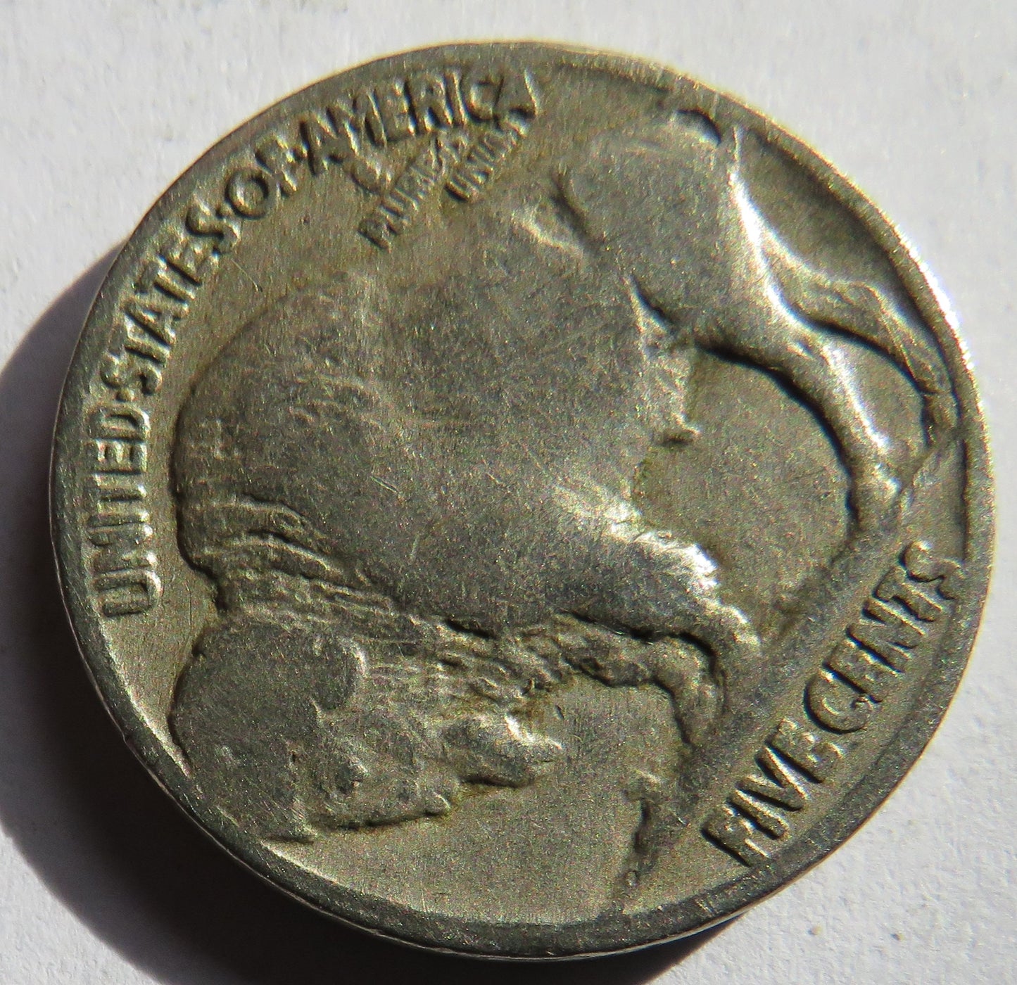 1923 USA Buffalo Nickel Coin