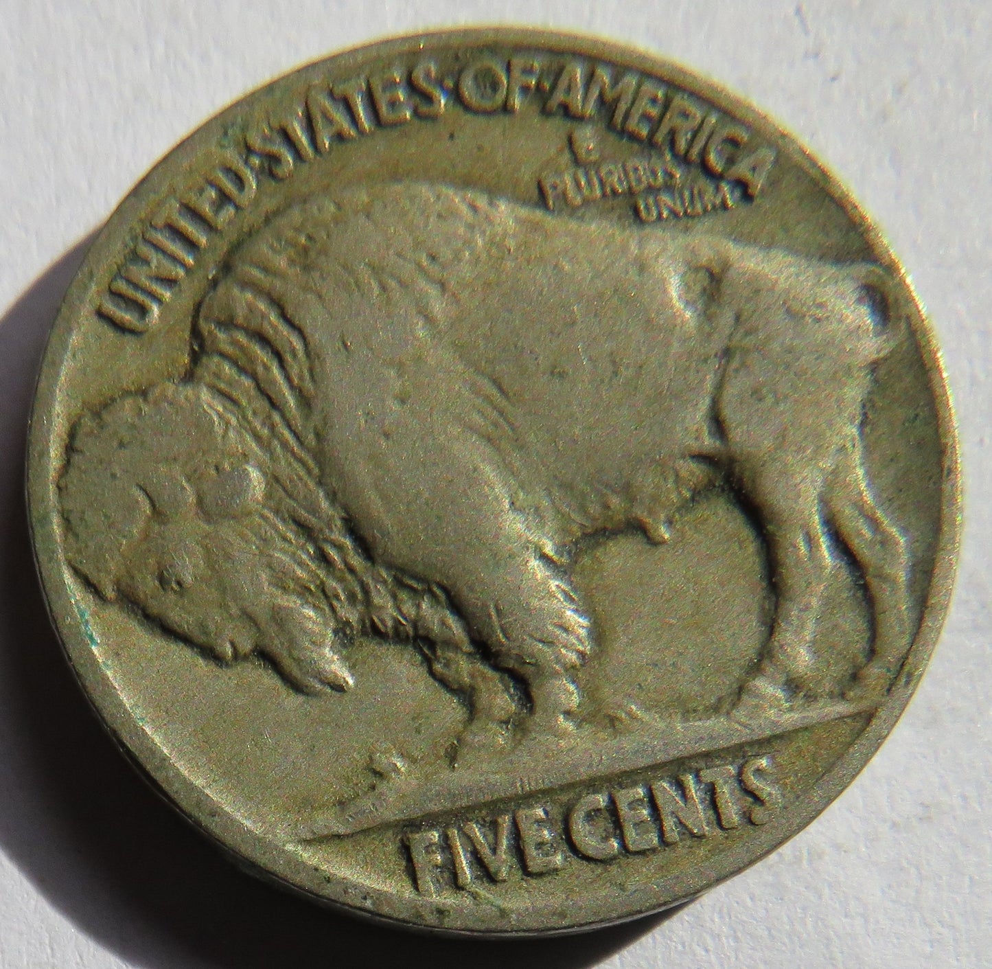 1919 USA Buffalo Nickel Coin