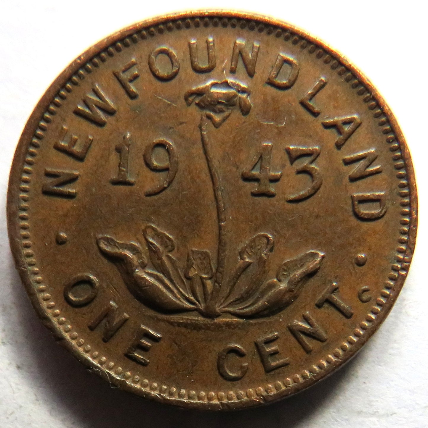 1943 King George VI Newfoundland One Cent Coin