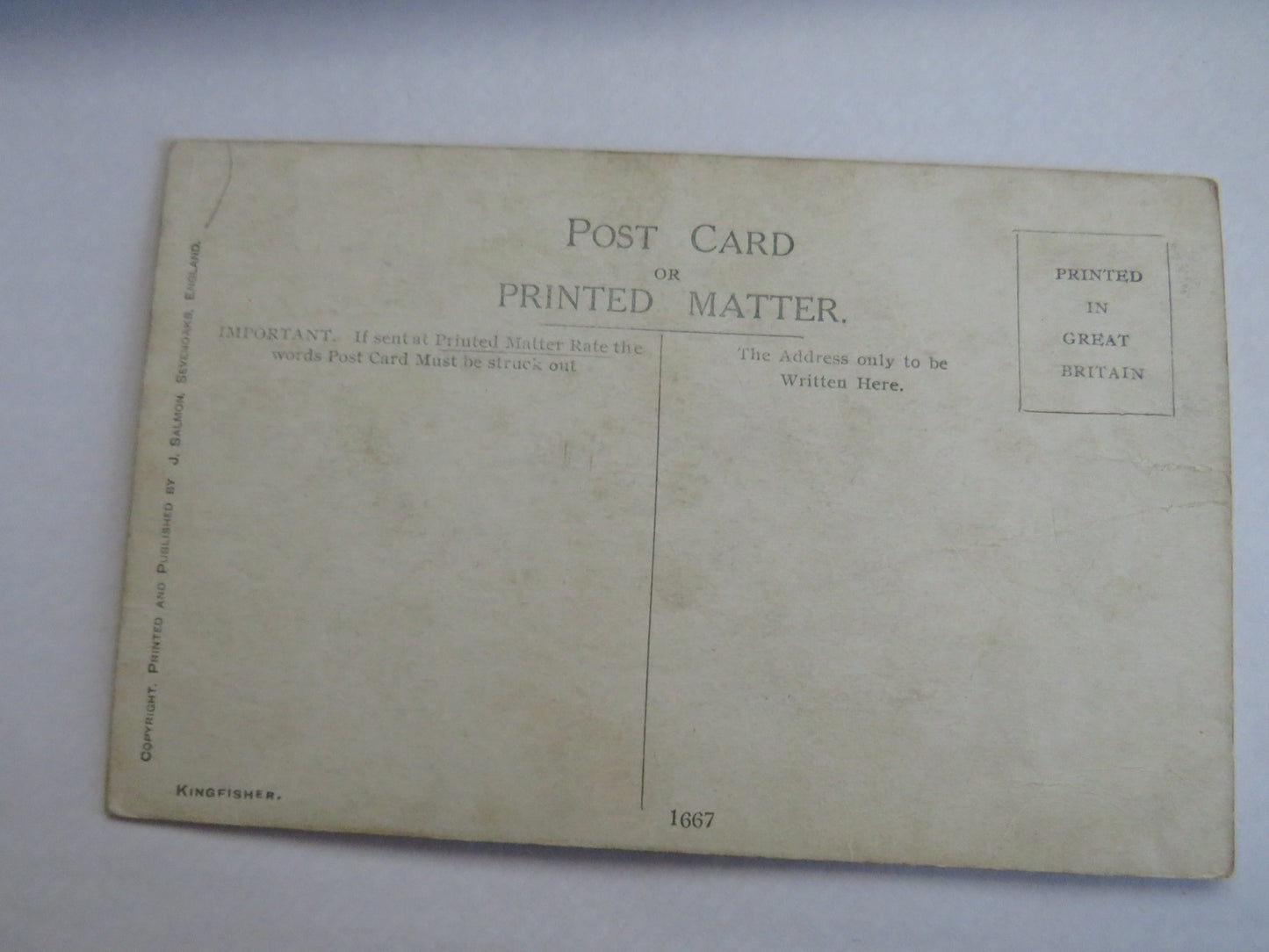 Vintage Bird Postcard Of "Kingfisher" Game Birds Series