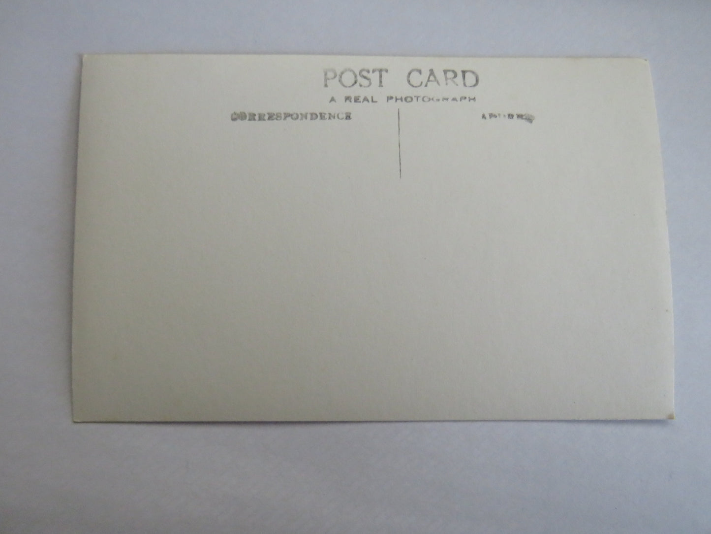 Vintage Bird Postcard Of "Common Tern" 