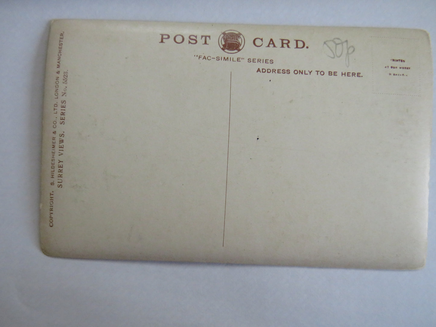 Antique Postcard of Betchworth Park, Surrey