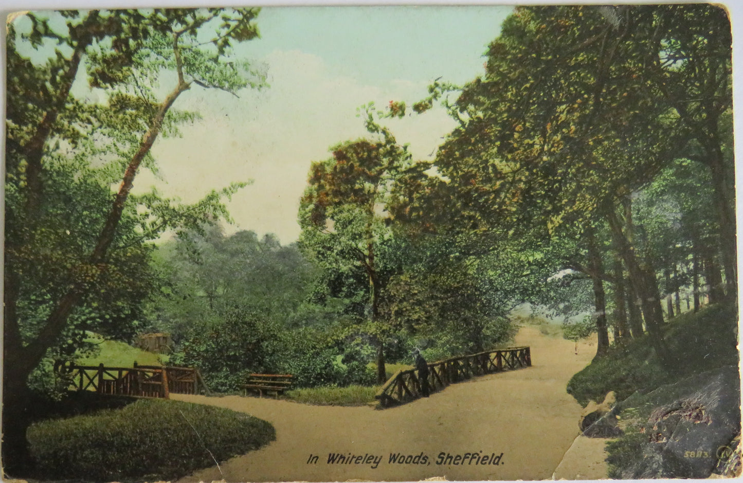 Vintage Postcard of In Whiteley Woods, Sheffield 1913