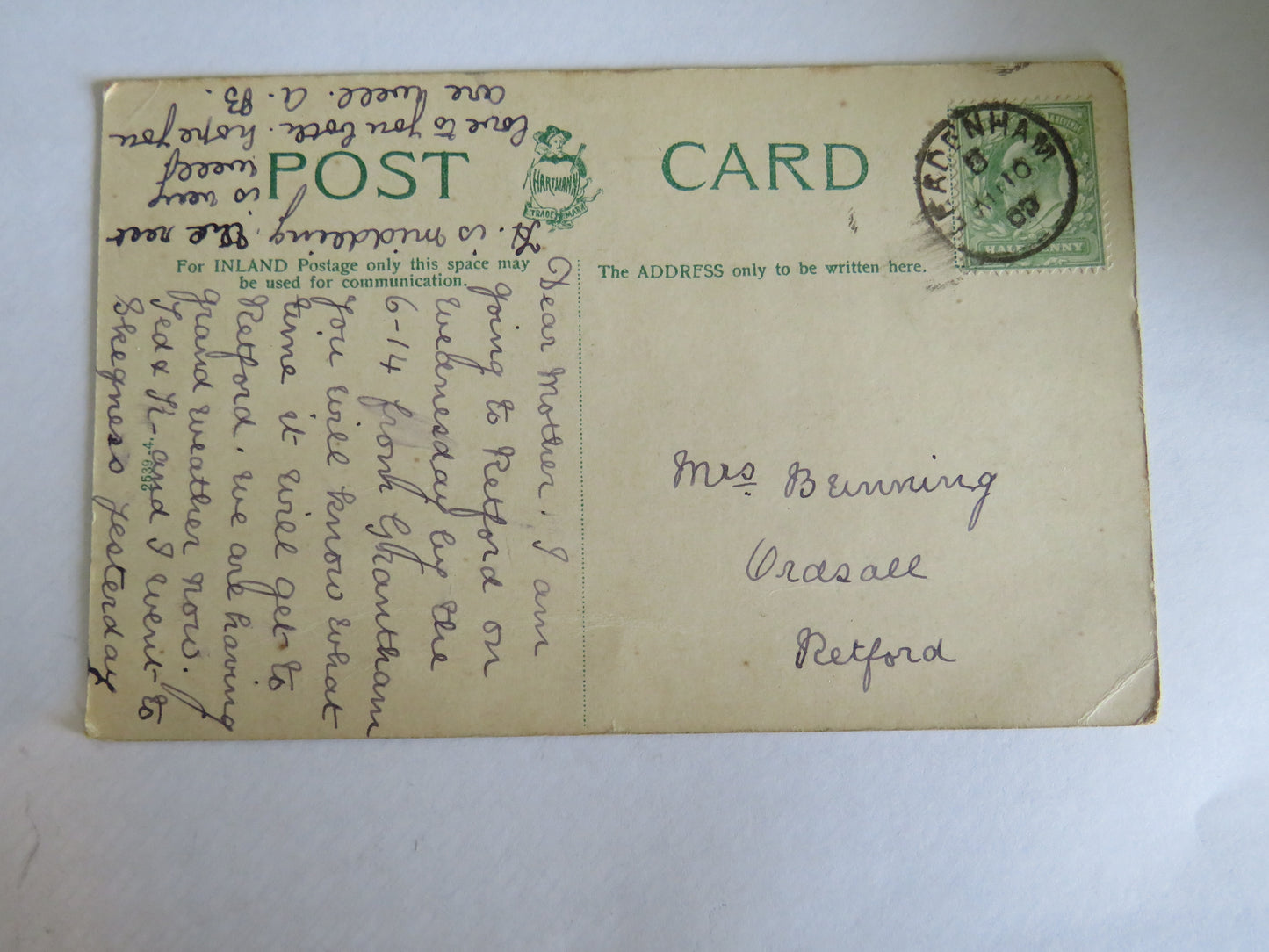 Vintage Postcard of Botanical Gardens, Sheffield 1903