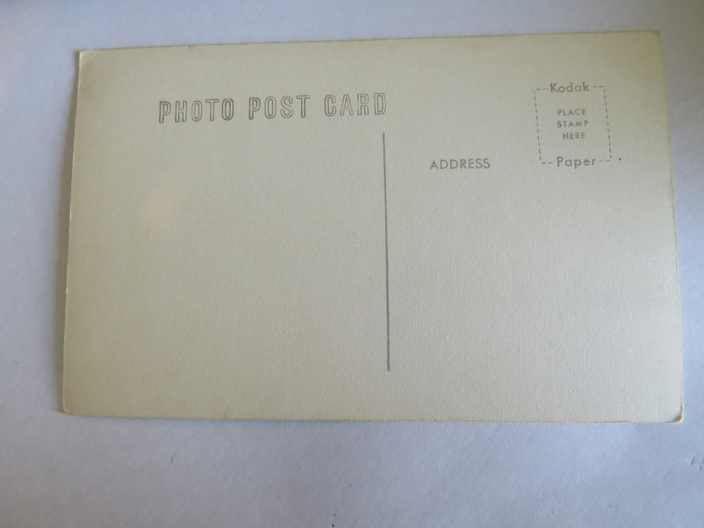 Vintage Postcard Of The Ducks, Wisconsin Dells