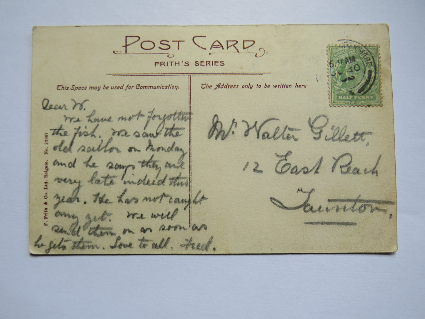 Vintage Postcard of Wells Cathedral, West Front