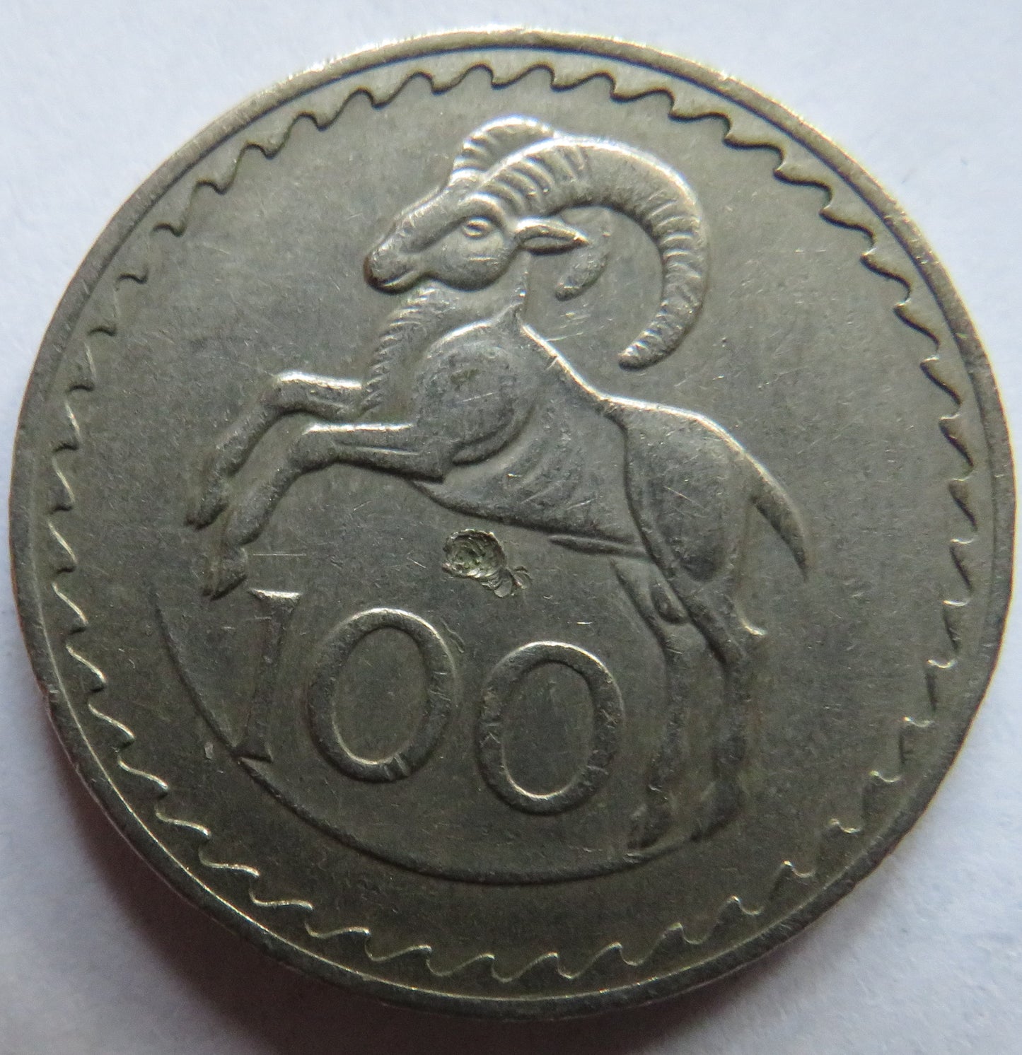 1973 Cyprus 100 Mils Coin