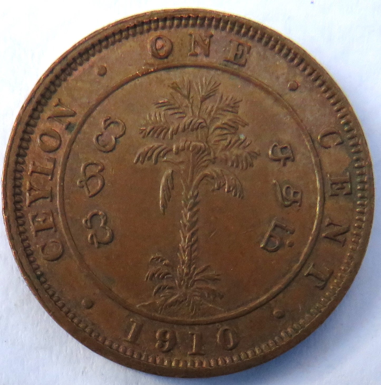 1910 King Edward VII Ceylon One Cent Coin Nice Condition