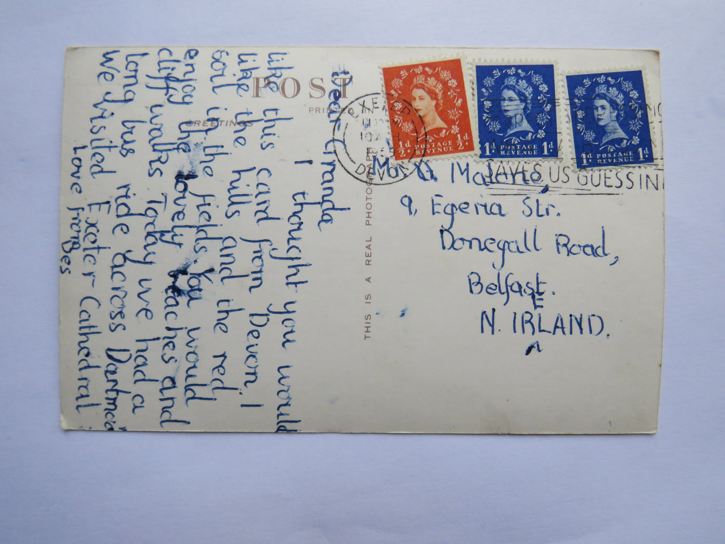 Vintage Multiview Postcard of Salcombe